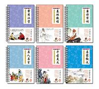 SMDSAZ 6Pcs/Sets 3D Chinese Characters Reusable Groove Calligraphy Copybook Erasable Pen Learn Hanzi Adults Art Writing Books (Color : 6PCS)