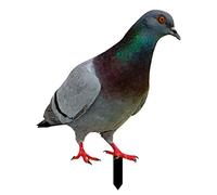 SMELEYOU Statues, Garden Ornaments Pigeon Acrylic Yard Decor Poultry Metal Stake Rust-Resistant Garden Decor Yard Art Floor Stakes for Backyard Lawn Style A