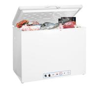 SMETA Gas Freestanding Chest Freezer, 2 Way Fridge 240V/Propane for Ca