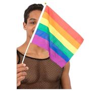 Smiffys 12 Pack Rainbow Handheld Flags, 45 x 20 cm Pride Parade LGBTQ Accessories for Events Parties Festivals and Celebration, Lightweight Polyester Flags on White Plastic Stick