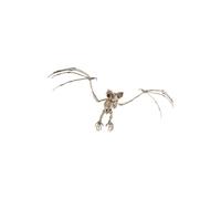 Smiffy's 46912 Bat Skeleton Prop (one Size) - Halloween Animal Party Decoration - halloween animal skeleton prop party decoration spider cat dog
