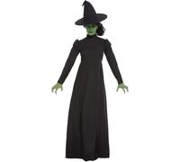 Classic Wicked Witch Ladies Fancy Dress Oz Fairy Tale Adults Halloween Costume