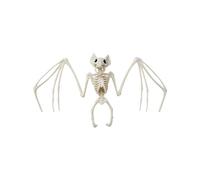 Smiffys Bat Skeleton Prop, Natural 30cm x17cm x 5cm, Halloween Fancy Dress Accessory, Animal Dress Up Halloween decorations