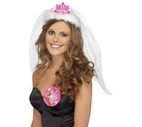 Bride To Be Tiara With Veil - bride veil tiara hen accessory party night fancy dress white ladies costume pink