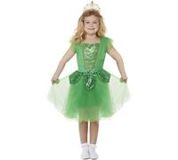 Deluxe St Patrick's Day Glitter Fairy Costume