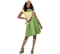 Womens Pot Brownie Fancy Dress Costume (Size 16-18)