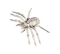 Smiffys Small Spider Skeleton Prop, Natural 22x13x6.5cm / 9x5x3in, Halloween Fancy Dress Accessory, Spider Dress Up Halloween decorations