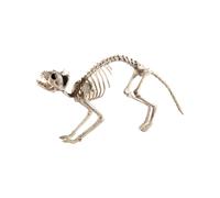 Smiffys Smiffys Cat Skeleton Prop, Natural, 60x12x25cm / 24x5x10in