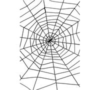 Smiffys Spider Web with Spider - Large