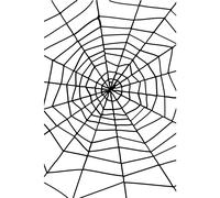 Smiffys Spider Web with Spider - Large