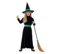 Wicked Witch Costume