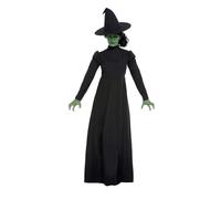 Ladies Wicked Witch Costume Halloween Classic Fancy Dress Spooky Traditional