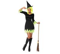 Smiffys Witch Costume with Dress/ Hat and Choker (L, Black/ Green)