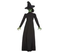 Smiffys Womens/Ladies Wicked Witch Costume Set / N/A N/A SM1312