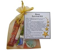 SMILE GIFTS UK Boss Survival Kit Gift (New job, work gift, Secret santa gift for the boss)