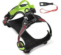 SmilePowo Dog Harness Compatible with GoPro Chest Mount for Action Cameras, Large Size, Red