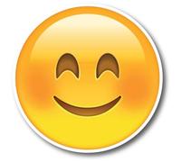 Smiley Face Emoji Magnet 5" Round Decal Perfect for Car or Truck