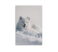 Smiling Arctic Fox in Snow Wall Art, Cute Decor, Home Poster Artistic Wall Mural Modern Hanging Decor Poster08x12inch(20x30cm)