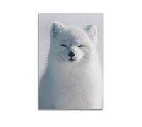 Smiling Arctic Fox Wall Art, Charming Decor, Home Poster Artistic Wall Mural Modern Hanging Decor Poster16x24inch(40x60cm)
