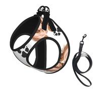 Smiling Dog Yorkshire Terrier,Pet Harness,Adjustable Reflective Dog Harness,Pet Leash Vest,L