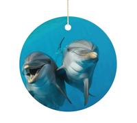 Smiling Face Dolphins Hanging Ceramic Ornaments, Christmas Tree Decorations, Funny Home Decor Gifts for Women, Sisters & Work Best Friends