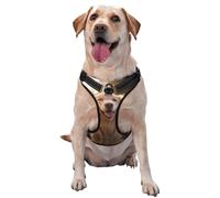 Smiling Golden Retriever Medium Printed pet Traction Vest for Pets to wear When Walking The Dog or Climbing Mountains