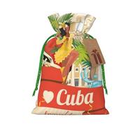 (Smiling Lady on Classic Car Palms) Printed Christmas M Size Gift Bags with Green Ribbon Drawstring Candy Bags for Kids Xmas Holiday Christmas Eve Presents