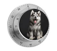 Smiling Little Dog Kitchen Timers for Cooking Visual Timer Stainless Steel Magnetic Timer with Alarm Cooking Timers for Baking, Exercise, Sports, Study & Outdoor Use