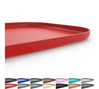 SMILOOL Silicone Pet Feeding Mat with Raised Edge for Food and Water, Dog Bowl Mats, Cat Bowls Placemat with High Lip for Floor Waterproof, Rubber Tray for Cats and Dogs 24 x 16 x0.8 Red