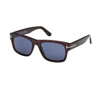 Smith-02 Sunglasses - unisex - Tom Ford - Brown - 53 MM - Accessories 53 MM