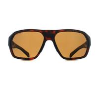 Smith Sunglasses Deckboss N9P L5 Matte Havana Gold Chromapop Polarized Brown