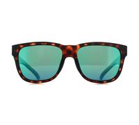 Smith Sunglasses Lowdown Slim 086 QG Havana Grey Blue Chromapop