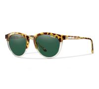 Smith Sunglasses Questa FWU IK Amber Tortoise Green