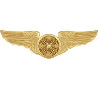 Smith & Warren Drone UAS Pilot Wing Pin 3" Wide, Solid Brass, Gold Finish with Antique Center, Double Clutch Back Attachment, For use on a Uniform Shirt or Coat, M, Brass, no gemstone