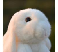 SMJWH Soft Plush Rabbit Toy - Adorable Lop-Eared Bunny Stuffed Animal, Cuddly Plushie Gift for Kids & Adults, 27cm (10.6 inch) Sitting Height(B)