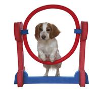Sml Dog Agility Hoop