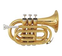 SML Paris TP50 Pocket Bb Trumpet with Soft Case