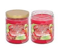 Smoke Odor Exterminator 13oz Jar Candle, Cinnamon Apple - Pack of 2