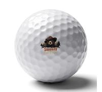 Smokey The Bear Fire Danger Standard Golf Balls Recreation Ball Professional Gift for Boyfriend Father Husband Son