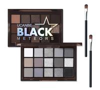 Smoky Eyeshadow Palette,15 Colors Grey Eyeshadow Palette Smokey Eyeshadow Palette Glitter & Matte Eye Shadow Pallets with 2 Pieces Brush for Daily and Gothic Halloween