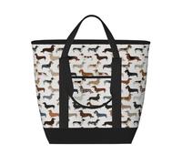 Smooth Wire Haired Long Haired Dachshunds Dogs Pets,Lunch Bags Large Capacity Insulated Tote Bag For Women Men Work Picnic Travel