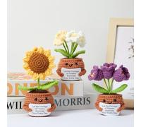 SmoothNovelty 3 Pcs Knitted Potted Plants Active Crochet Animals Crochet Knitted Doll Gift with Positive Card Easter Gift for Home Desk Ornaments Office Decor (Encourage)