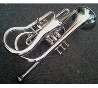 SM'Sai Musicals 4 Valve Echo Cornet With Mouthpiece And Hard Case For School Band Silver Echo Cornet BB Pitch Brass Musical Instrument For Orchestra Beginners Professionals For Kids Adults