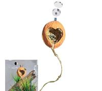 SMSUX Jumping Spider Enclosure - Bolt/Nut Combo, Walnut with Magnetism, Naturalistic Hide Accessories