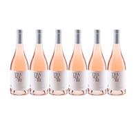 SMT SAN MERICAN TOMATO San Marzano Tramari Rosé di Primitivo, Italian Rose Wine, CASE of 6 x 750ml