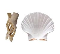 Smudge Stick Kit with Scallop Shell & Wooden Tripod Stand - Complete Smudging Set (Shell plus Stand)