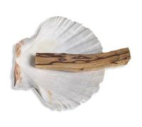 Smudge Stick Kits - Incense - Meditation - Mindfulness - Native American - Spiritual (Palo Santo and Scallop Shell)