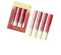 Smudgeproof Matte Lipstick 4Pieces Set Waterproof Lip Color Precise Application All Day Wear Non Transfer Lipstick in Everyday Colors