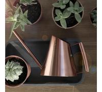 SMZhomeone Stainless Steel Long Spout Watering Can 1L Capacity For Indoor Outdoor Plants Reach The Roots Of Plants And Succulents(1500 mL Copper)