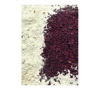 Snail Feed Snail Boost with Beetroot 150 g Land Snail Feed, Snail Lime Mix with Natural Substances for Building Snail Shells